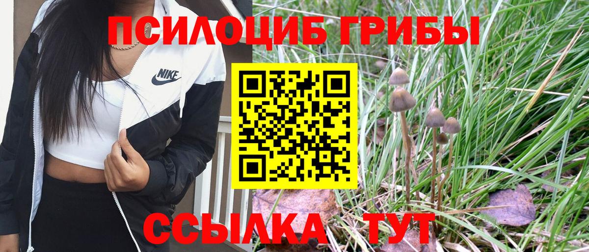 Галлюциногенные грибы мицелий Бугульма