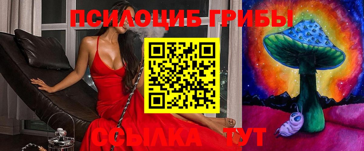 Бугульма  Псилоцибиновые грибы мицелий  Вход с VPN 